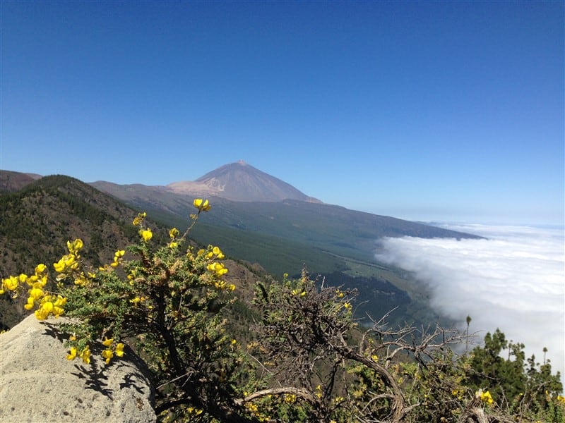 Teide